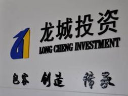 博興龍城投資咨詢 專業賦能，引領財富新航向